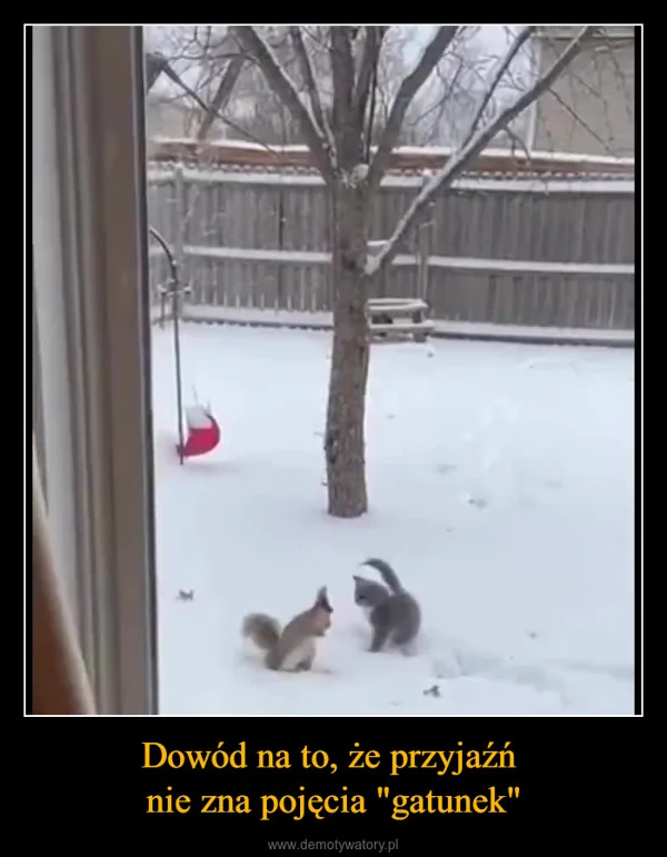 
    Dowód na to, że przyjaźń nie zna pojęcia 