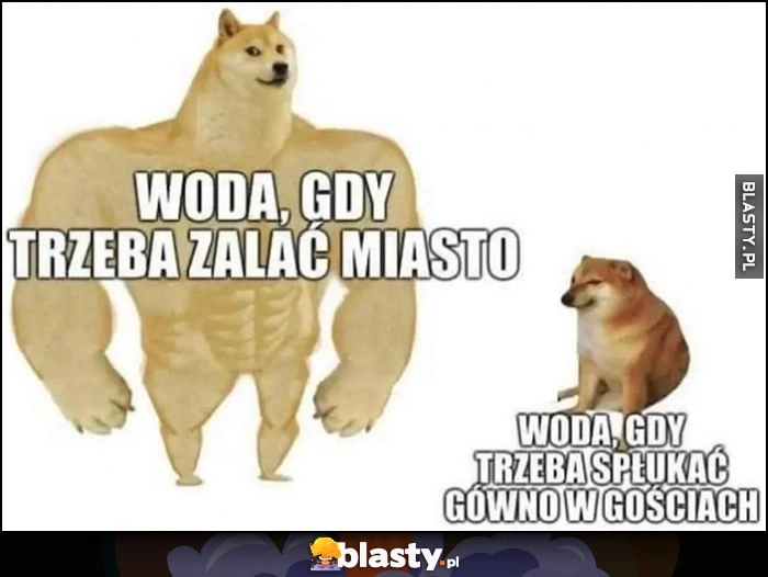 
    Woda, gdy trzeba zalać miasto vs gdy trzeba spłukać gówno w gościach pies pieseł doge cheems