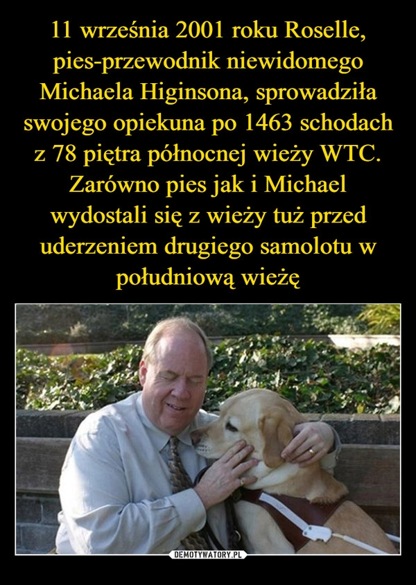 
    11 września 2001 roku Roselle, pies-przewodnik niewidomego Michaela Higinsona, sprowadziła swojego opiekuna po 1463 schodach z 78 piętra północnej wieży WTC. Zarówno pies jak i Michael wydostali się z wieży tuż przed uderzeniem drugiego samolotu w południową wieżę