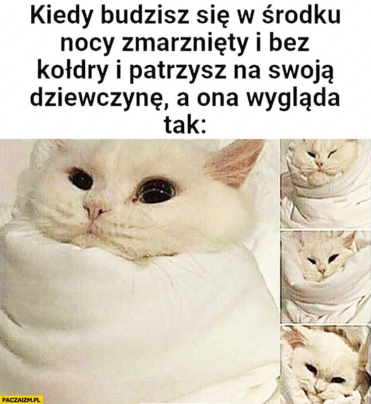 
    Kiedy budzisz się w środku nocy zmarznięty i bez kołdry i patrzysz na swoją dziewczynę a ona wygląda tak owinięta kołdrą