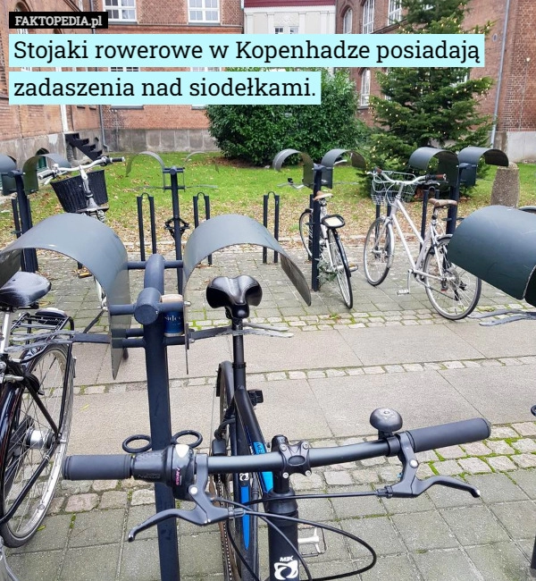 
    Stojaki rowerowe w Kopenhadze posiadają zadaszenia nad siodełkami.