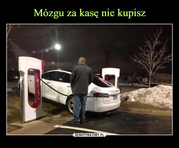 
    Mózgu za kasę nie kupisz 