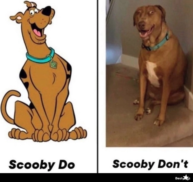 
    Scooby 