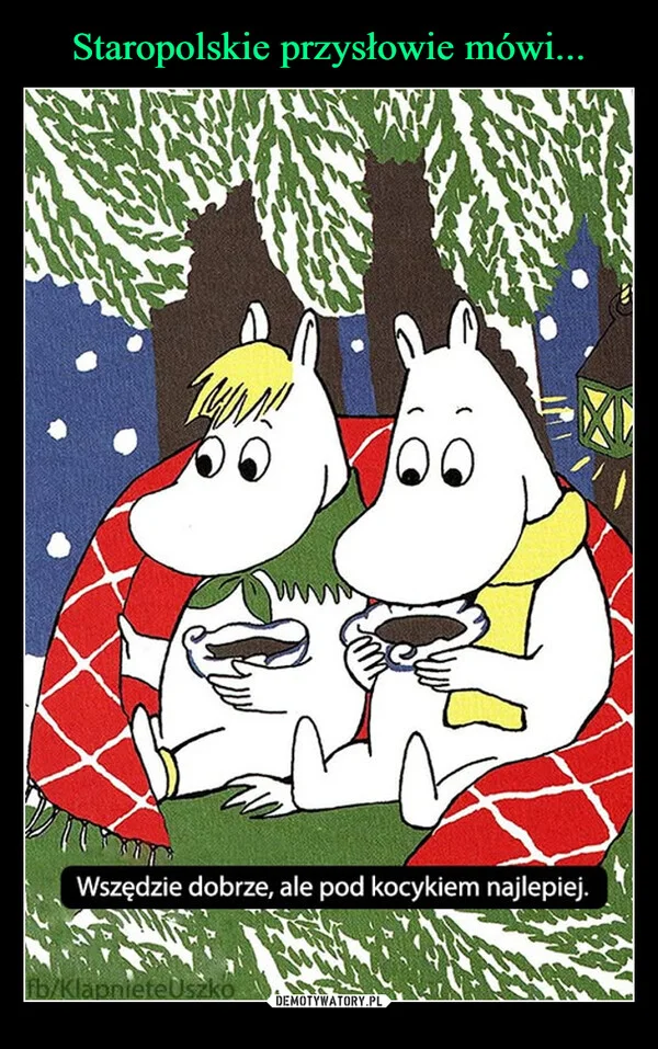 
    Staropolskie przysłowie mówi...