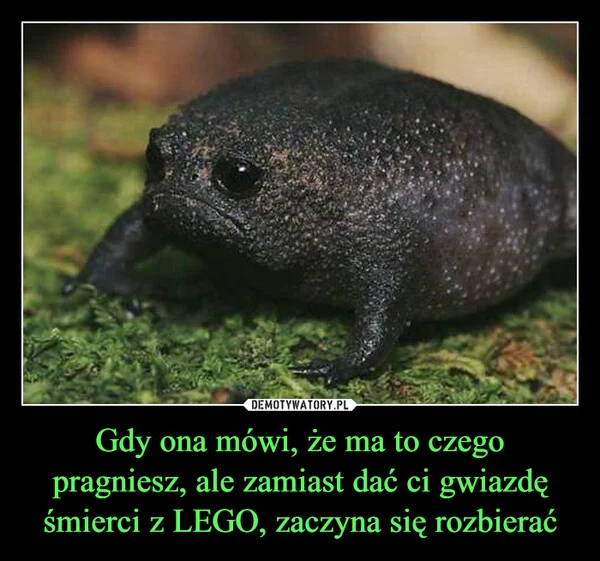 
    Gdy ona mówi, że ma to czego pragniesz, ale zamiast dać ci gwiazdę śmierci z LEGO, zaczyna się rozbierać