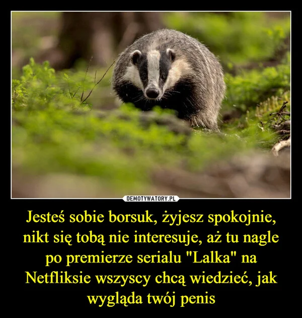 
    Jesteś sobie borsuk, żyjesz spokojnie, nikt się tobą nie interesuje, aż tu nagle po premierze serialu 