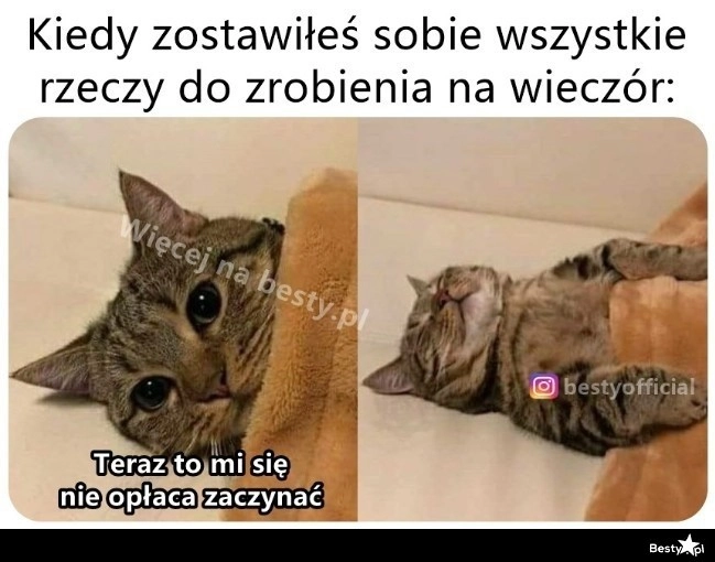 
    Tak to się kończy 