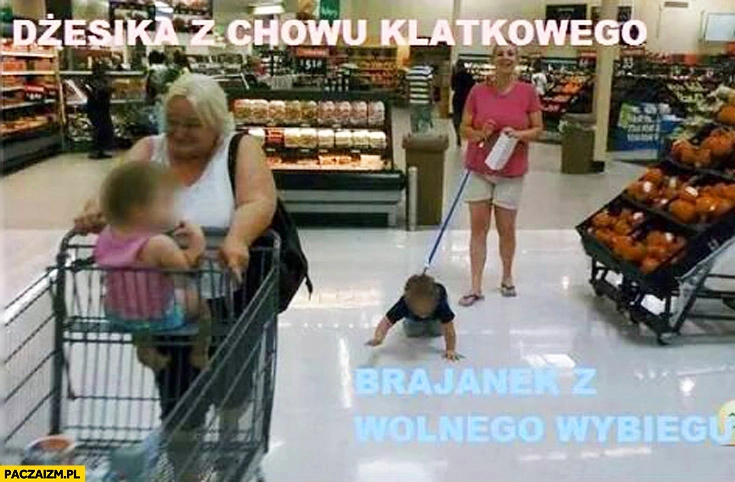 
    Dżesika z chowu klatkowego, Brajanek z wolnego wybiegu