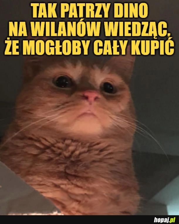 
    Wilanów.
