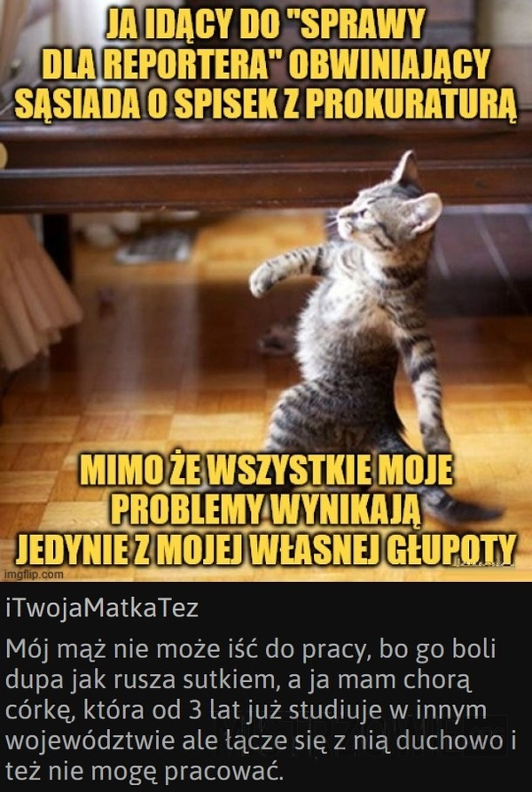 
    Sprawa dla reportera