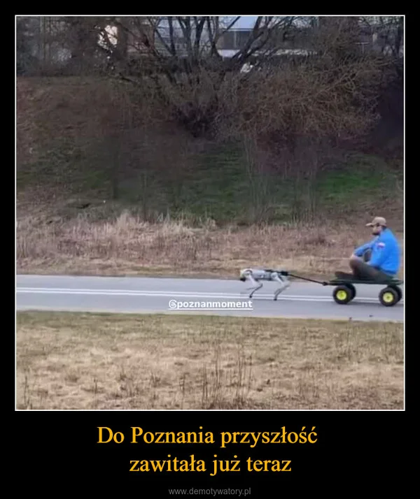 
    Do Poznania przyszłość zawitała już teraz