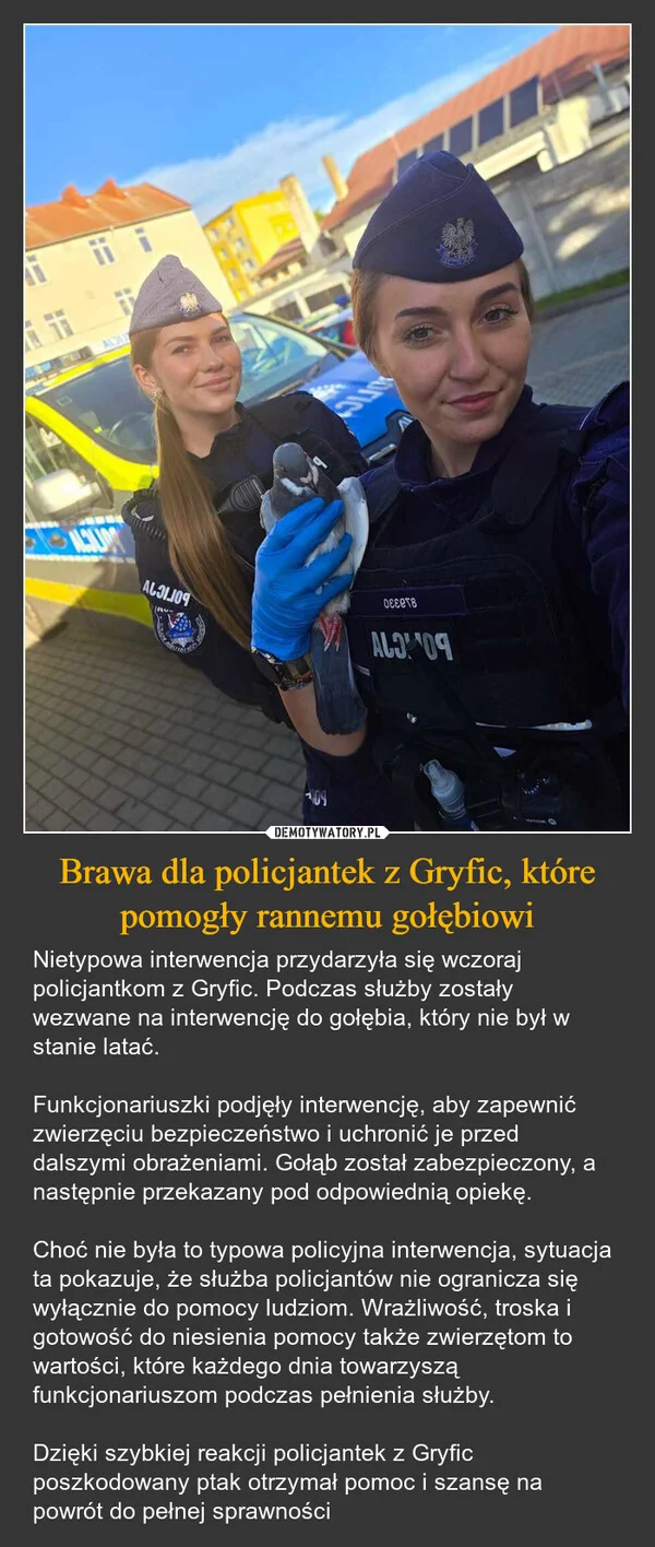 Brawa dla policjantek z Gryfic, które pomogły rannemu gołębiowi