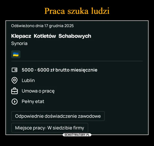 
    Praca szuka ludzi