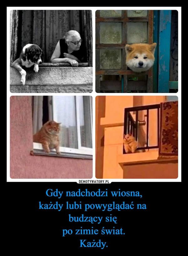 
    Gdy nadchodzi wiosna, każdy lubi powyglądać na budzący się po zimie świat. Każdy.