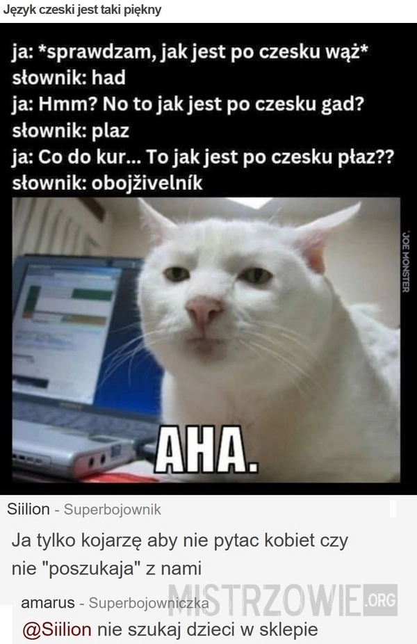 
    Język czeski jest taki piękny
