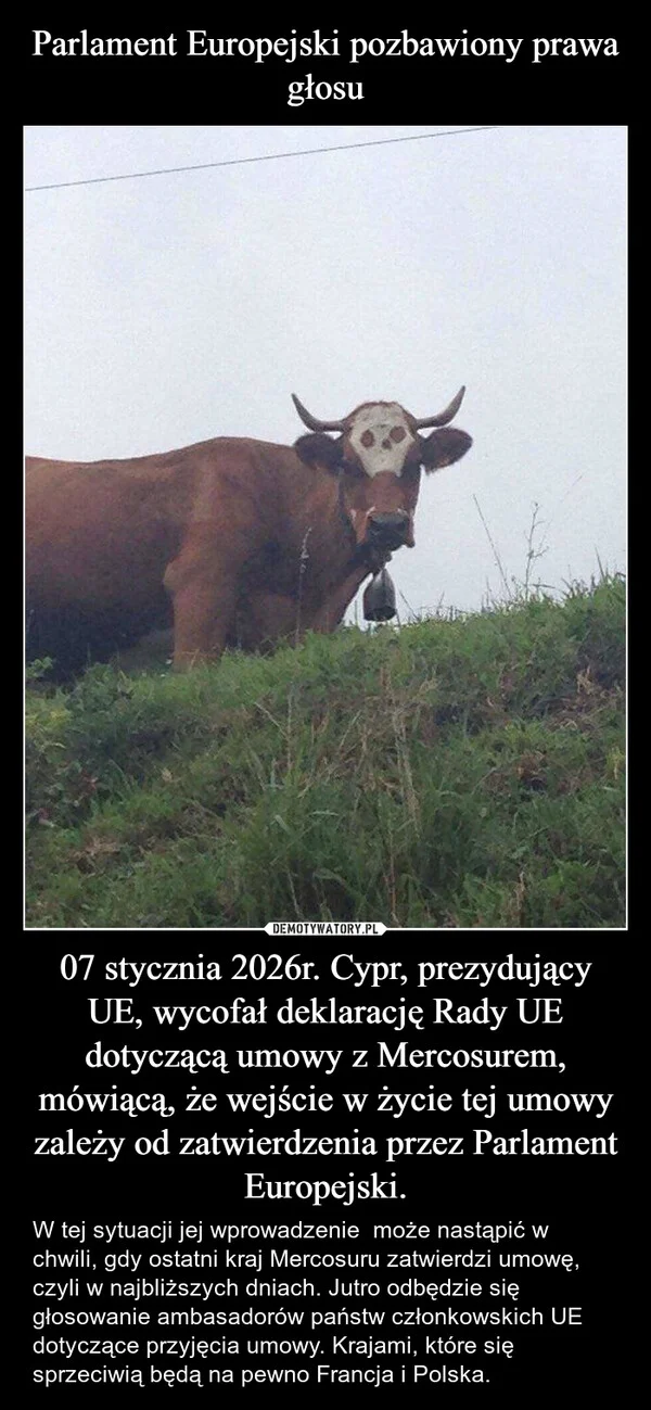 
    Parlament Europejski pozbawiony prawa głosu 07 stycznia 2026r. Cypr, prezydujący UE, wycofał deklarację Rady UE dotyczącą umowy z Mercosurem, mówiącą, że wejście w życie tej umowy zależy od zatwierdzenia przez Parlament Europejski.