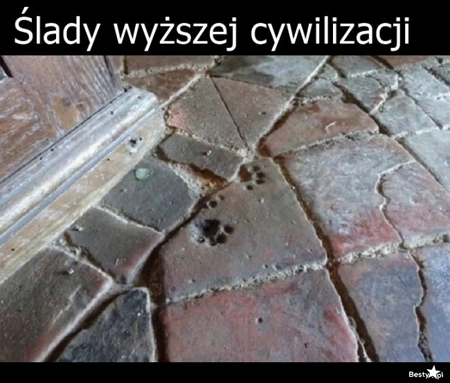 
    Ślady wyższej cywilizacji 