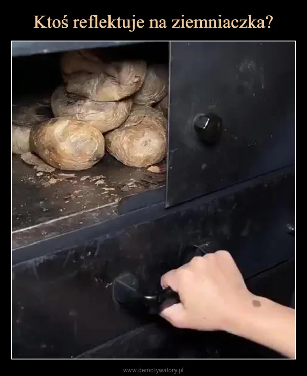 Ktoś reflektuje na ziemniaczka?