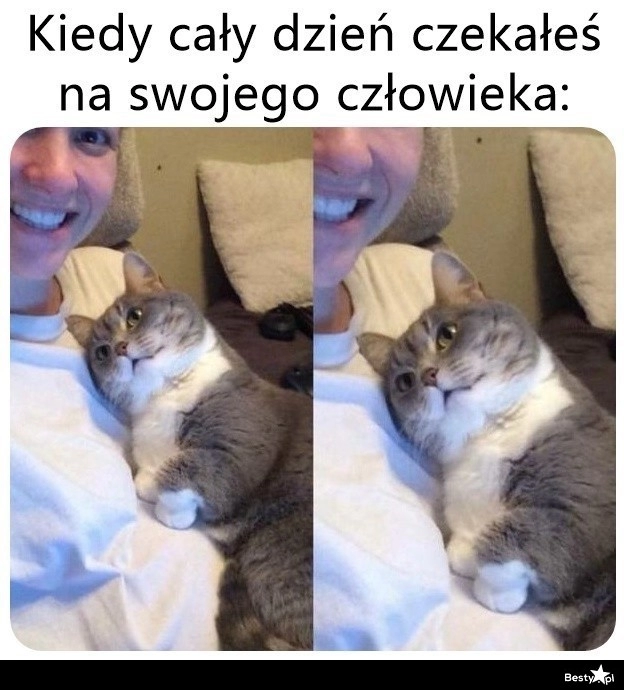 
    Tyle miłości 