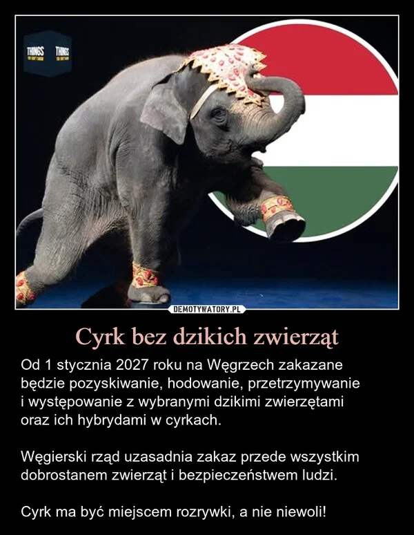 
    Cyrk bez dzikich zwierząt