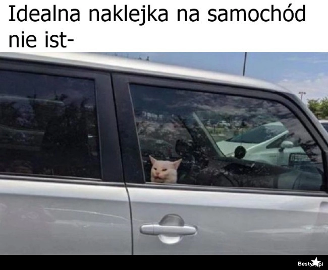 
    Naklejka na samochód 