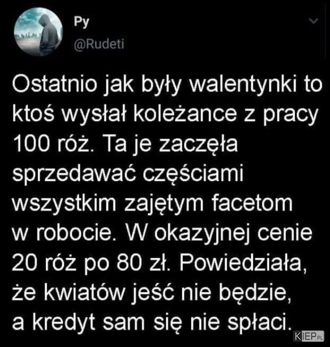 
    Laska do głupich nie należy 