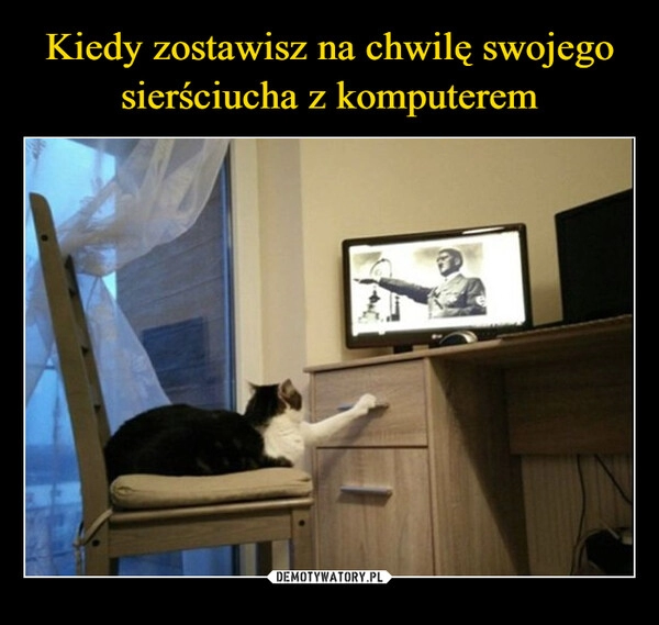 
    Kiedy zostawisz na chwilę swojego sierściucha z komputerem