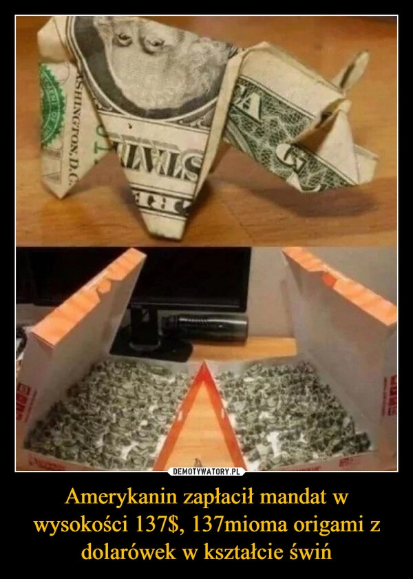 
    Amerykanin zapłacił mandat w wysokości 137$, 137mioma origami z dolarówek w kształcie świń