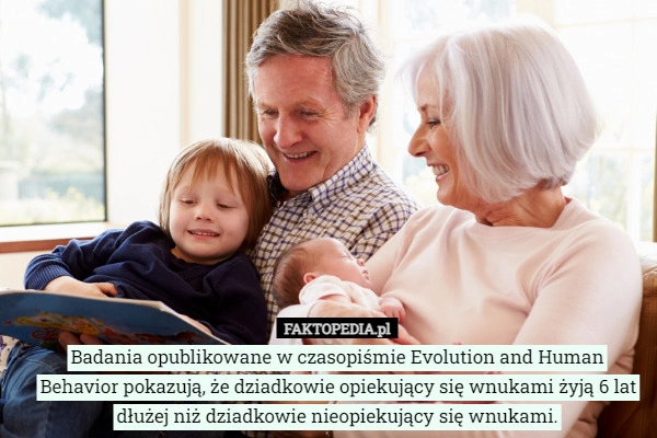 
    
			Badania opublikowane w czasopiśmie Evolution and Human Behavior pokazują,					