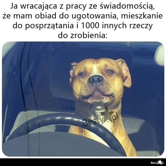 
    Aż chce się wracać 