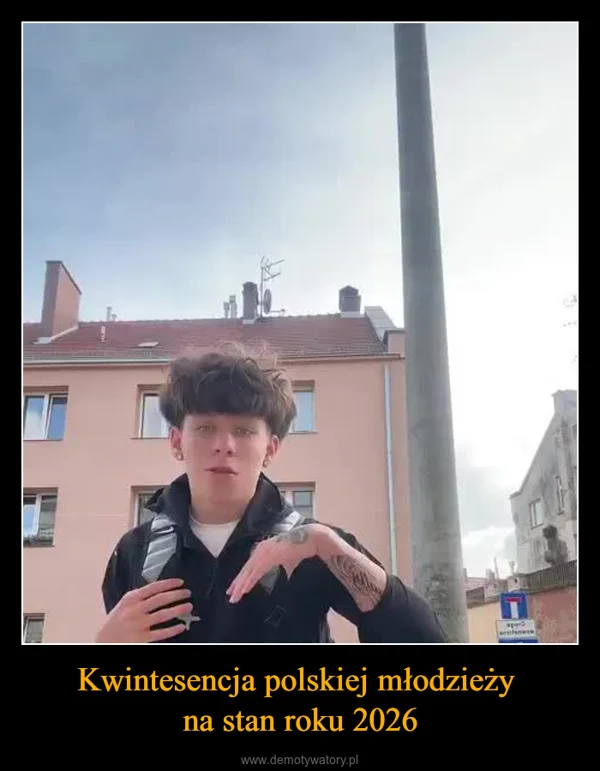 
    Kwintesencja polskiej młodzieży na stan roku 2026