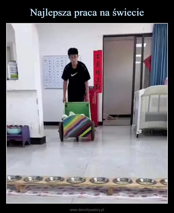 
    Najlepsza praca na świecie