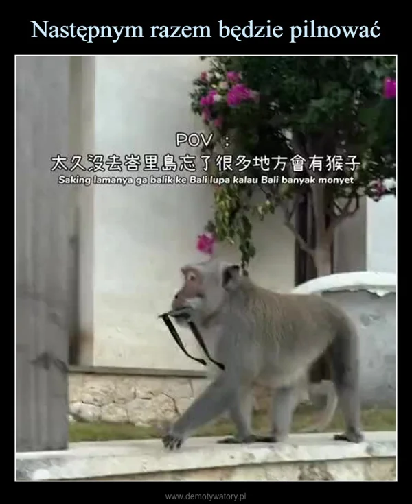 
    Następnym razem będzie pilnować