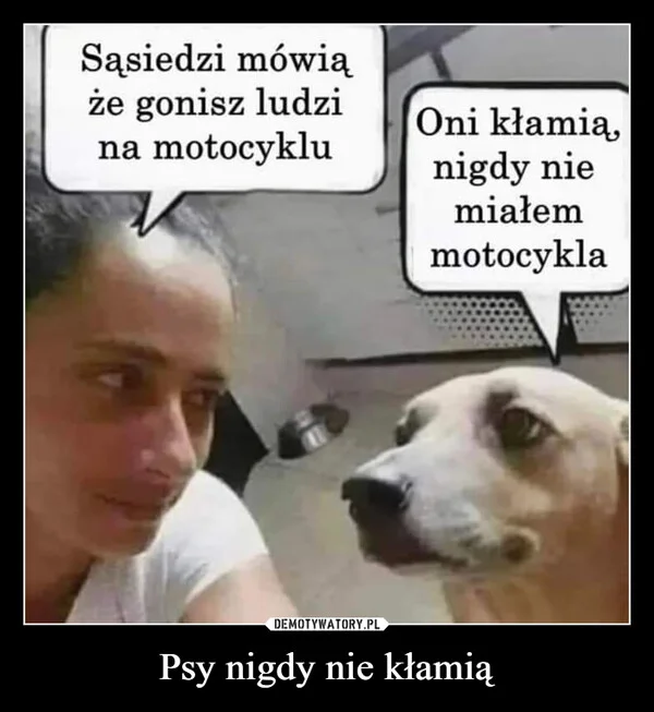 
    Psy nigdy nie kłamią