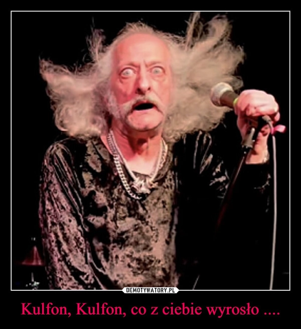 
    Kulfon, Kulfon, co z ciebie wyrosło ....
