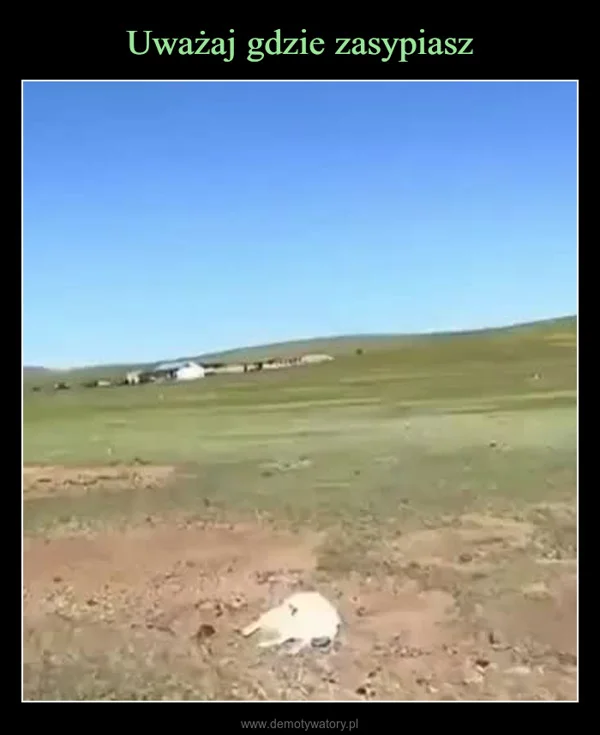 
    Uważaj gdzie zasypiasz