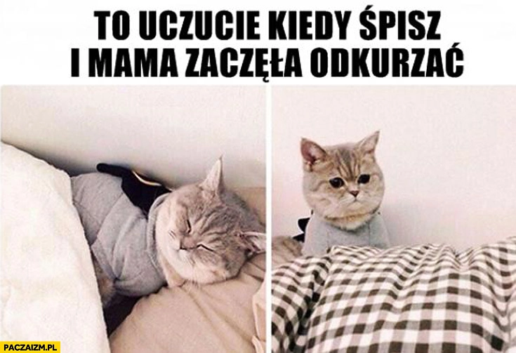 
    To uczucie kiedy śpisz i mama zaczęła odkurzac