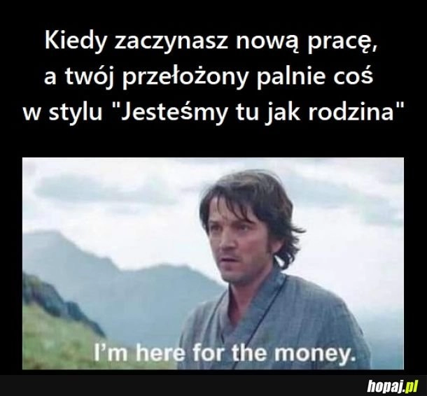 
    W nowej pracy