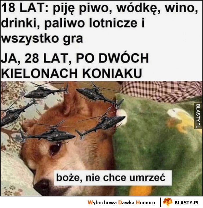 
    18 lat: piję i wszystko gra, vs ja 28 lat po dwóch kielonach koniaku: boże nie chcę umrzeć pies pieseł doge