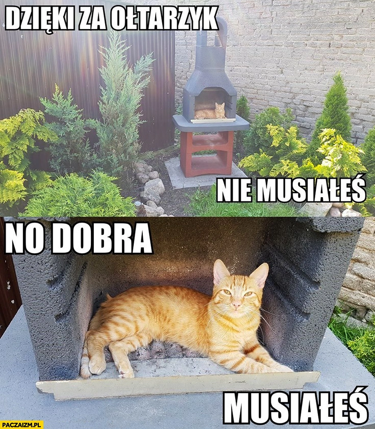
    Dzięki za ołtarzyk, nie musiałeś. No dobra, musiałeś kot