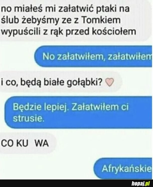 
    Niezapomniane wesele