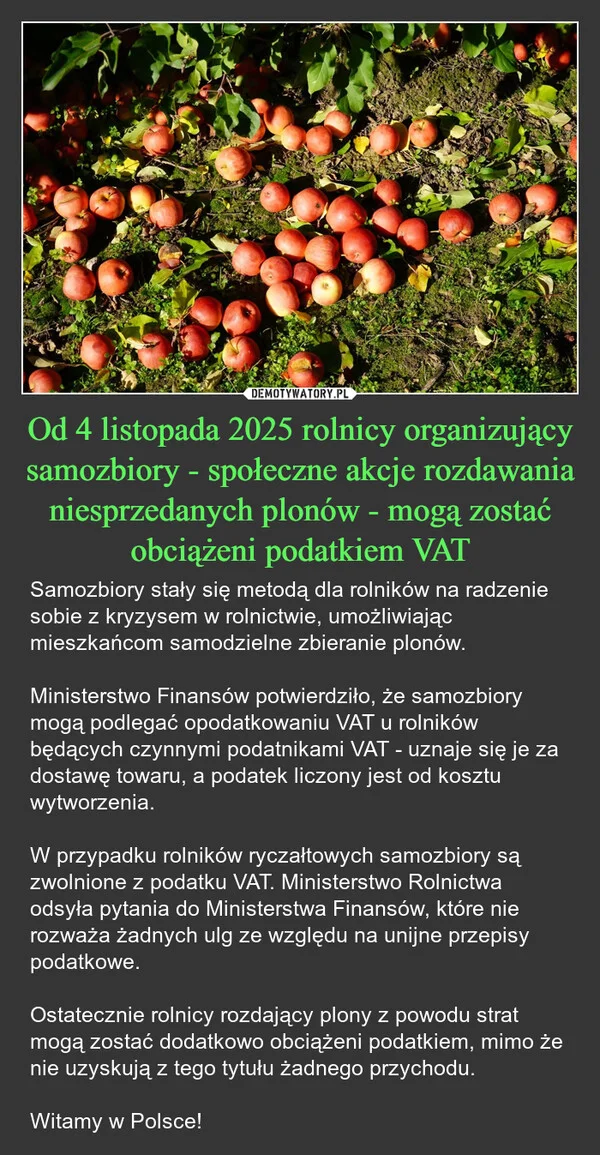 
    Od 4 listopada 2025 rolnicy organizujący samozbiory - społeczne akcje rozdawania niesprzedanych plonów - mogą zostać obciążeni podatkiem VAT