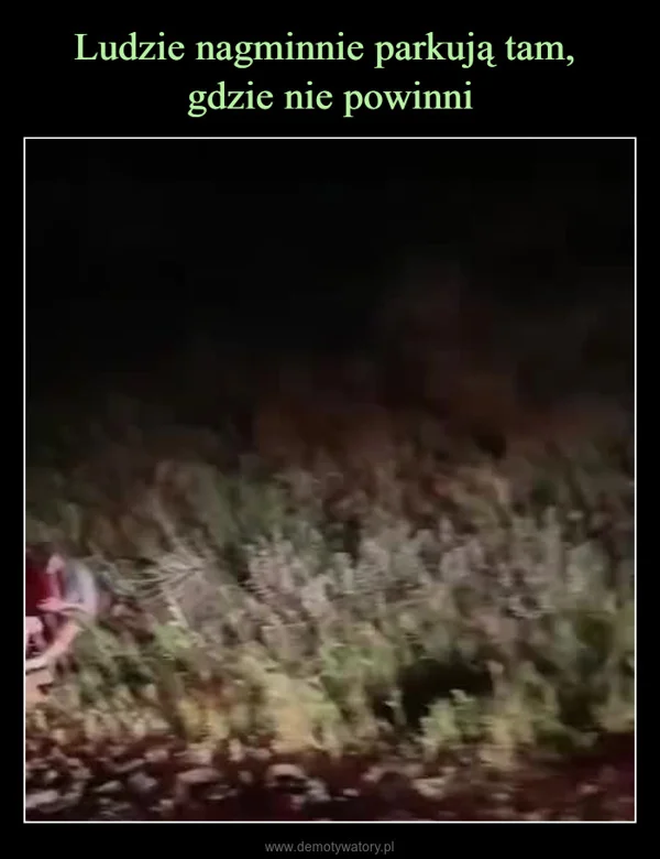 
    Ludzie nagminnie parkują tam, gdzie nie powinni