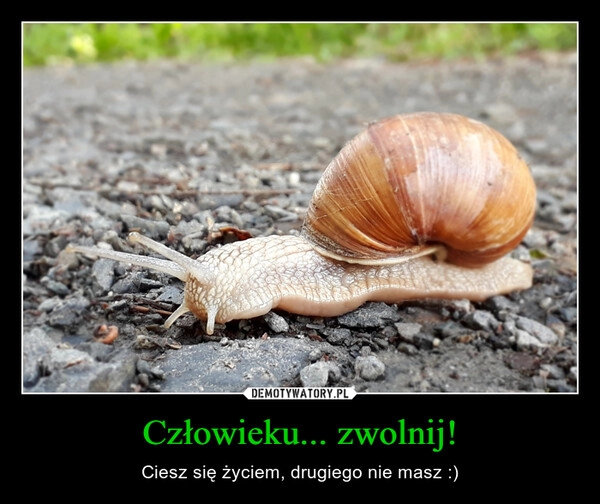 
    Człowieku... zwolnij!