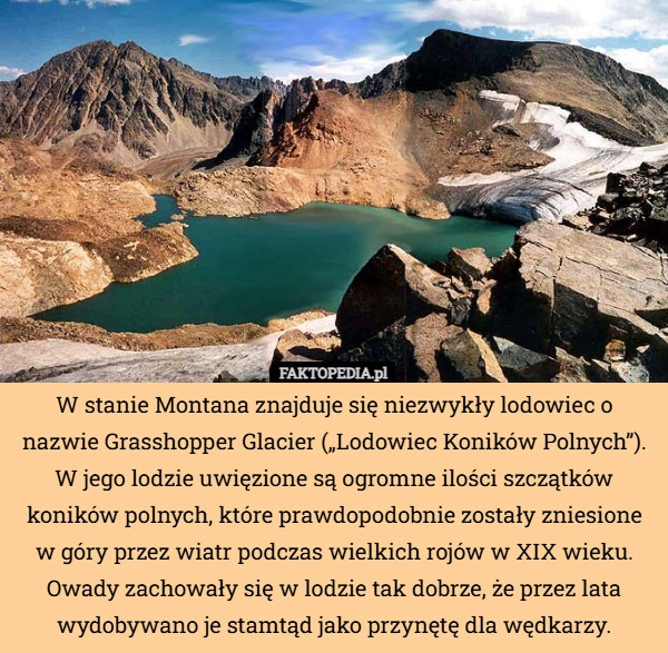 W stanie Montana znajduje się niezwykły lodowiec o nazwie...