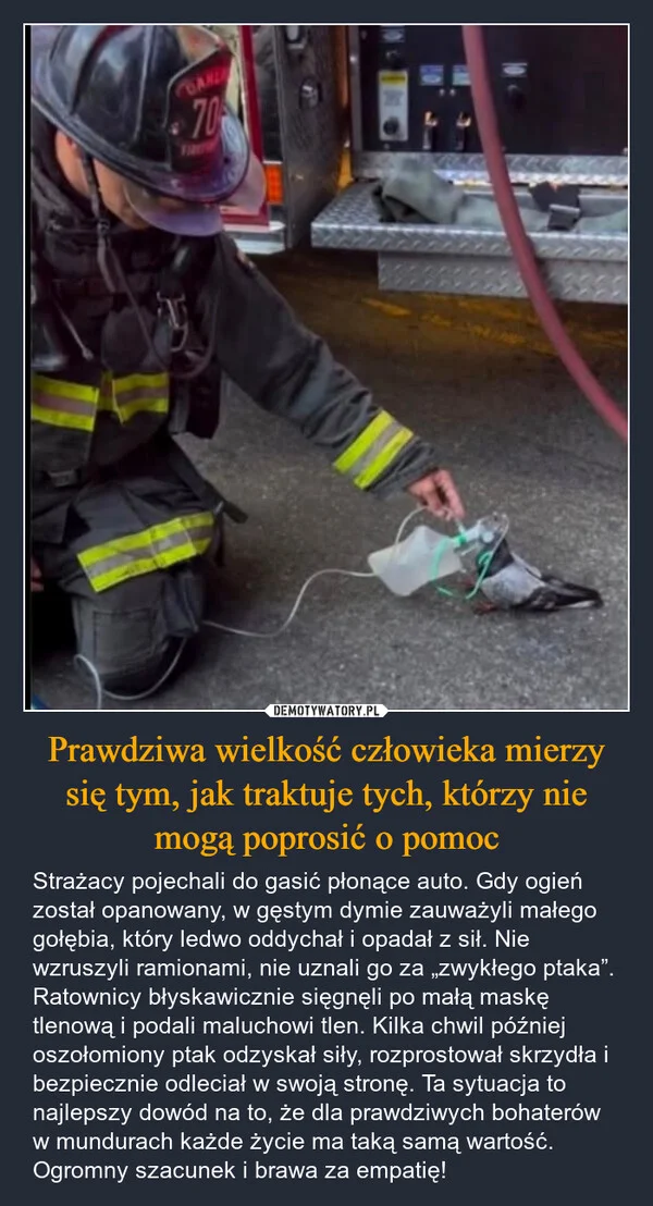 
    Prawdziwa wielkość człowieka mierzy się tym, jak traktuje tych, którzy nie mogą poprosić o pomoc