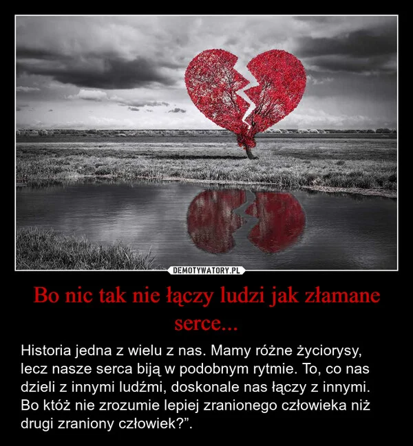 
    Bo nic tak nie łączy ludzi jak złamane serce...