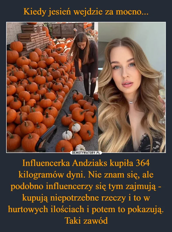 Kiedy jesień wejdzie za mocno... Influencerka Andziaks kupiła 364 kilogramów dyni. Nie znam się, ale podobno influencerzy się tym zajmują - kupują niepotrzebne rzeczy i to w hurtowych ilościach i potem to pokazują. Taki zawód