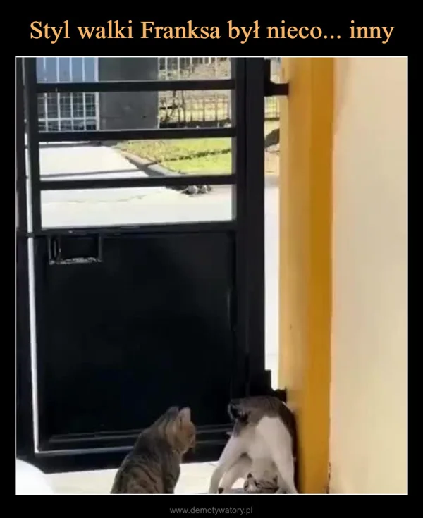
    Styl walki Franksa był nieco... inny