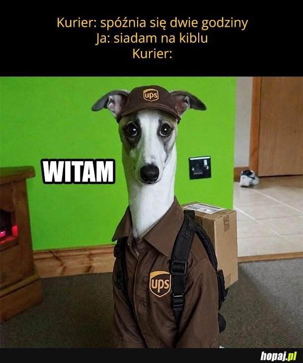 Za każdym razem